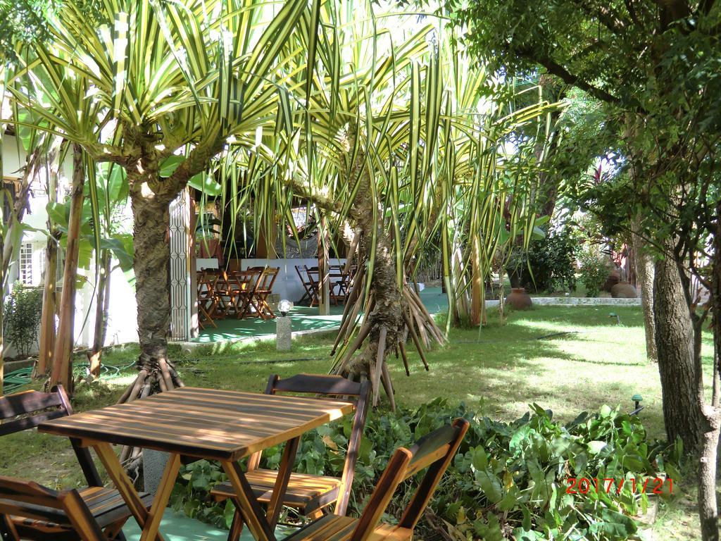 Pousada Yuste Beach Farm باراكورو المظهر الخارجي الصورة